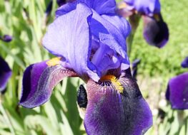 012 - nightfall 1942